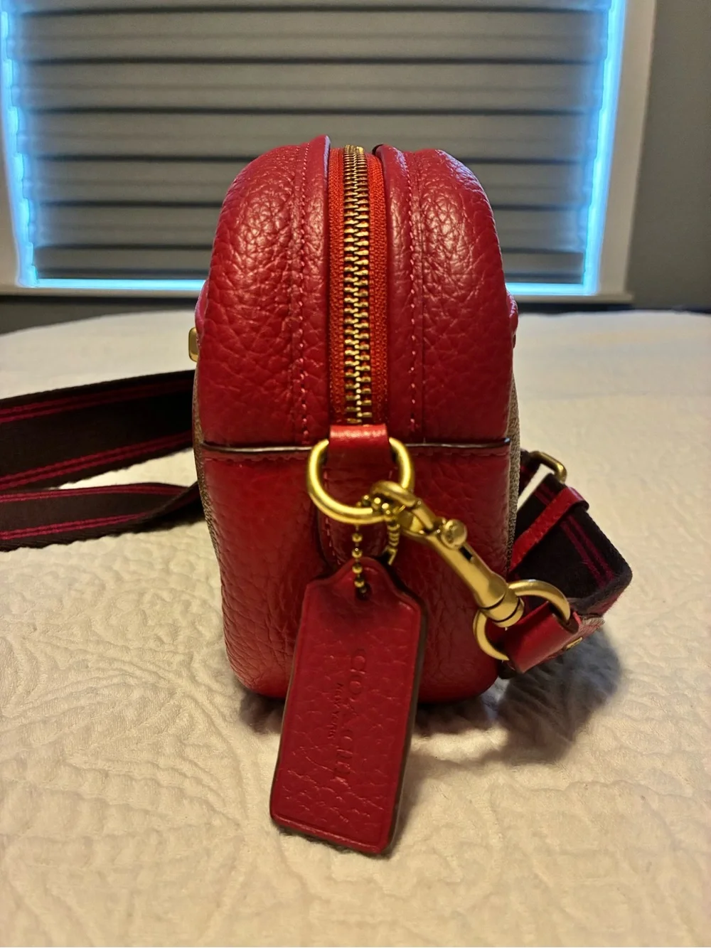 Coach Camera Signature Red Heart Print Crossbody Bag